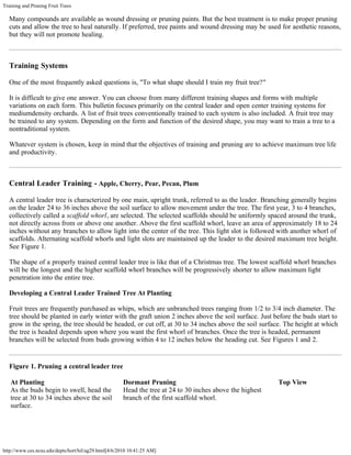Training and Pruning Fruit Trees
http://www.ces.ncsu.edu/depts/hort/hil/ag29.html[4/6/2010 10:41:25 AM]
Many compounds are available as wound dressing or pruning paints. But the best treatment is to make proper pruning
cuts and allow the tree to heal naturally. If preferred, tree paints and wound dressing may be used for aesthetic reasons,
but they will not promote healing.
Training Systems
One of the most frequently asked questions is, "To what shape should I train my fruit tree?"
It is difficult to give one answer. You can choose from many different training shapes and forms with multiple
variations on each form. This bulletin focuses primarily on the central leader and open center training systems for
mediumdensity orchards. A list of fruit trees conventionally trained to each system is also included. A fruit tree may
be trained to any system. Depending on the form and function of the desired shape, you may want to train a tree to a
nontraditional system.
Whatever system is chosen, keep in mind that the objectives of training and pruning are to achieve maximum tree life
and productivity.
Central Leader Training - Apple, Cherry, Pear, Pecan, Plum
A central leader tree is characterized by one main, upright trunk, referred to as the leader. Branching generally begins
on the leader 24 to 36 inches above the soil surface to allow movement under the tree. The first year, 3 to 4 branches,
collectively called a scaffold whorl, are selected. The selected scaffolds should be uniformly spaced around the trunk,
not directly across from or above one another. Above the first scaffold whorl, leave an area of approximately 18 to 24
inches without any branches to allow light into the center of the tree. This light slot is followed with another whorl of
scaffolds. Alternating scaffold whorls and light slots are maintained up the leader to the desired maximum tree height.
See Figure 1.
The shape of a properly trained central leader tree is like that of a Christmas tree. The lowest scaffold whorl branches
will be the longest and the higher scaffold whorl branches will be progressively shorter to allow maximum light
penetration into the entire tree.
Developing a Central Leader Trained Tree At Planting
Fruit trees are frequently purchased as whips, which are unbranched trees ranging from 1/2 to 3/4 inch diameter. The
tree should be planted in early winter with the graft union 2 inches above the soil surface. Just before the buds start to
grow in the spring, the tree should be headed, or cut off, at 30 to 34 inches above the soil surface. The height at which
the tree is headed depends upon where you want the first whorl of branches. Once the tree is headed, permanent
branches will be selected from buds growing within 4 to 12 inches below the heading cut. See Figures 1 and 2.
Figure 1. Pruning a central leader tree
At Planting
As the buds begin to swell, head the
tree at 30 to 34 inches above the soil
surface.
Dormant Pruning
Head the tree at 24 to 30 inches above the highest
branch of the first scaffold whorl.
Top View
 