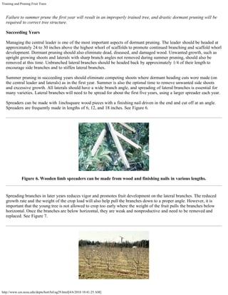 Training and Pruning Fruit Trees
http://www.ces.ncsu.edu/depts/hort/hil/ag29.html[4/6/2010 10:41:25 AM]
Failure to summer prune the first year will result in an improperly trained tree, and drastic dormant pruning will be
required to correct tree structure.
Succeeding Years
Managing the central leader is one of the most important aspects of dormant pruning. The leader should be headed at
approximately 24 to 30 inches above the highest whorl of scaffolds to promote continued branching and scaffold whorl
development. Dormant pruning should also eliminate dead, diseased, and damaged wood. Unwanted growth, such as
upright growing shoots and laterals with sharp branch angles not removed during summer pruning, should also be
removed at this time. Unbranched lateral branches should be headed back by approximately 1/4 of their length to
encourage side branches and to stiffen lateral branches.
Summer pruning in succeeding years should eliminate competing shoots where dormant heading cuts were made (on
the central leader and laterals) as in the first year. Summer is also the optimal time to remove unwanted side shoots
and excessive growth. All laterals should have a wide branch angle, and spreading of lateral branches is essential for
many varieties. Lateral branches will need to be spread for about the first five years, using a larger spreader each year.
Spreaders can be made with 1inchsquare wood pieces with a finishing nail driven in the end and cut off at an angle.
Spreaders are frequently made in lengths of 6, 12, and 18 inches. See Figure 6.
Figure 6. Wooden limb spreaders can be made from wood and finishing nails in various lengths.
Spreading branches in later years reduces vigor and promotes fruit development on the lateral branches. The reduced
growth rate and the weight of the crop load will also help pull the branches down to a proper angle. However, it is
important that the young tree is not allowed to crop too early where the weight of the fruit pulls the branches below
horizontal. Once the branches are below horizontal, they are weak and nonproductive and need to be removed and
replaced. See Figure 7.
 