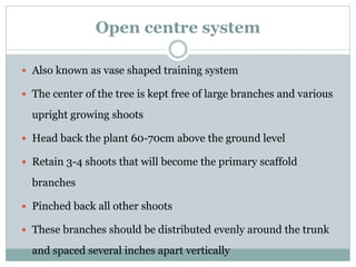 Open centre system
 Also known as vase shaped training system
 The center of the tree is kept free of large branches and various
upright growing shoots
 Head back the plant 60-70cm above the ground level
 Retain 3-4 shoots that will become the primary scaffold
branches
 Pinched back all other shoots
 These branches should be distributed evenly around the trunk
and spaced several inches apart vertically
 
