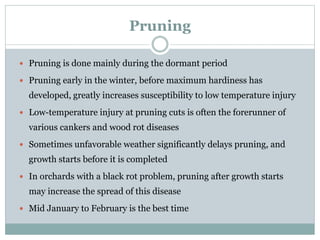 Pruning
 Pruning is done mainly during the dormant period
 Pruning early in the winter, before maximum hardiness has
developed, greatly increases susceptibility to low temperature injury
 Low-temperature injury at pruning cuts is often the forerunner of
various cankers and wood rot diseases
 Sometimes unfavorable weather significantly delays pruning, and
growth starts before it is completed
 In orchards with a black rot problem, pruning after growth starts
may increase the spread of this disease
 Mid January to February is the best time
 