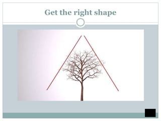 Get the right shape
 