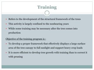 Training
 Refers to the development of the structural framework of the trees
 This activity is largely confined to the nonbearing years
 While some training may be necessary after the tree comes into
production
Objective of the training program is :
 To develop a proper framework that effectively displays a large surface
area of the tree canopy to full sunlight and support heavy crop loads
 It is more efficient to develop tree growth with training than to correct it
with pruning
 