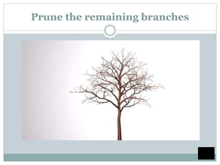 Prune the remaining branches
 