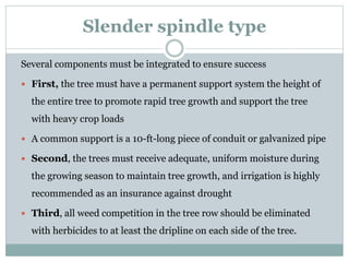 Slender spindle type
Several components must be integrated to ensure success
 First, the tree must have a permanent support system the height of
the entire tree to promote rapid tree growth and support the tree
with heavy crop loads
 A common support is a 10-ft-long piece of conduit or galvanized pipe
 Second, the trees must receive adequate, uniform moisture during
the growing season to maintain tree growth, and irrigation is highly
recommended as an insurance against drought
 Third, all weed competition in the tree row should be eliminated
with herbicides to at least the dripline on each side of the tree.
 
