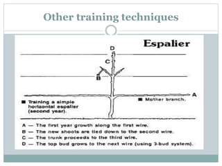 Other training techniques
 