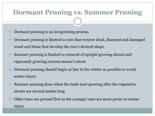 Dormant Pruning vs. Summer Pruning
 Dormant pruning is an invigorating process
 Dormant pruning is limited to cuts that remove dead, diseased and damaged
wood and those that develop the tree’s desired shape
 Summer pruning is limited to removal of upright growing shoots and
vigorously growing current season’s shoot
 Dormant pruning should begin as late in the winter as possible to avoid
winter injury
 Summer pruning done when the buds start growing after the vegetative
shoots are several inches long
 Older trees are pruned first as the younger ones are more prone to winter
injury
 