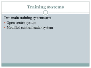 Training systems
Two main training systems are:
 Open centre system
 Modified central leader system
 