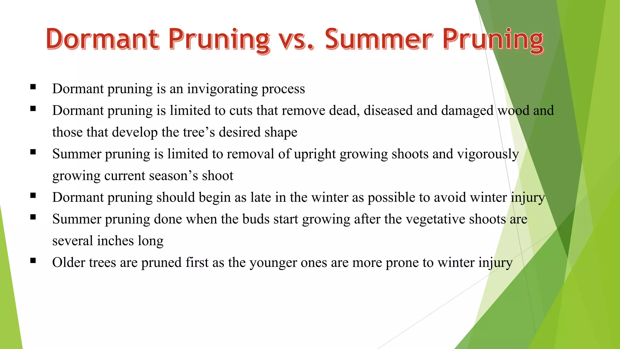 Dormant pruning is an invigorating process
 Dormant pruning is limited to cuts that remove dead, diseased and damaged wood and
those that develop the tree’s desired shape
 Summer pruning is limited to removal of upright growing shoots and vigorously
growing current season’s shoot
 Dormant pruning should begin as late in the winter as possible to avoid winter injury
 Summer pruning done when the buds start growing after the vegetative shoots are
several inches long
 Older trees are pruned first as the younger ones are more prone to winter injury
 