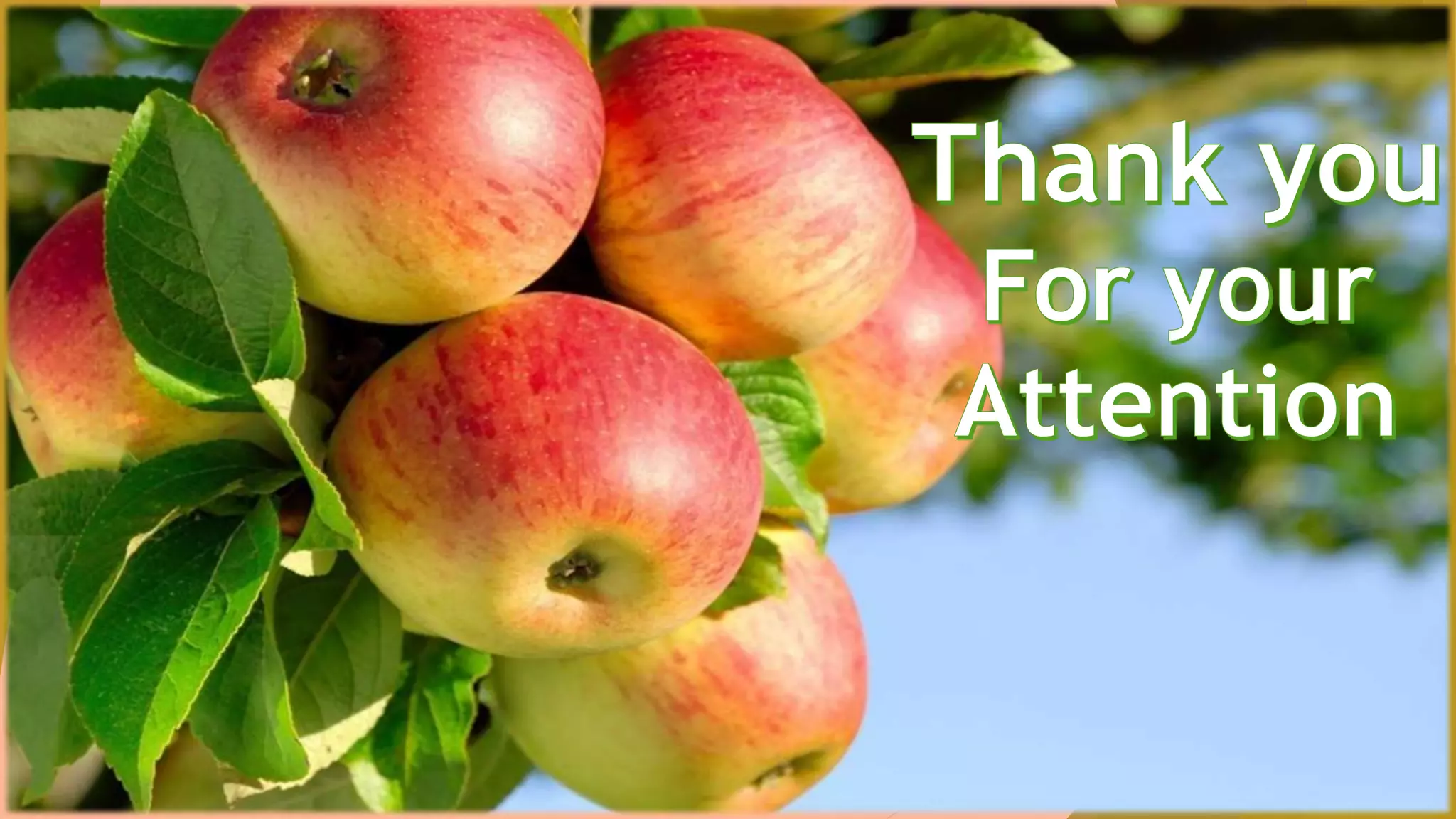 Training and pruning in apple and pear