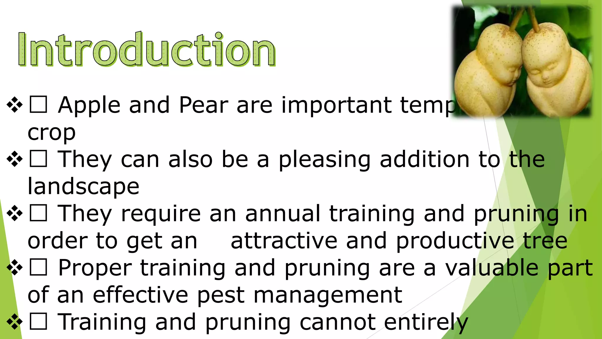  Apple and Pear are important temperate fruit
crop
 They can also be a pleasing addition to the
landscape
 They require an annual training and pruning in
order to get an attractive and productive tree
 Proper training and pruning are a valuable part
of an effective pest management
 Training and pruning cannot entirely
 