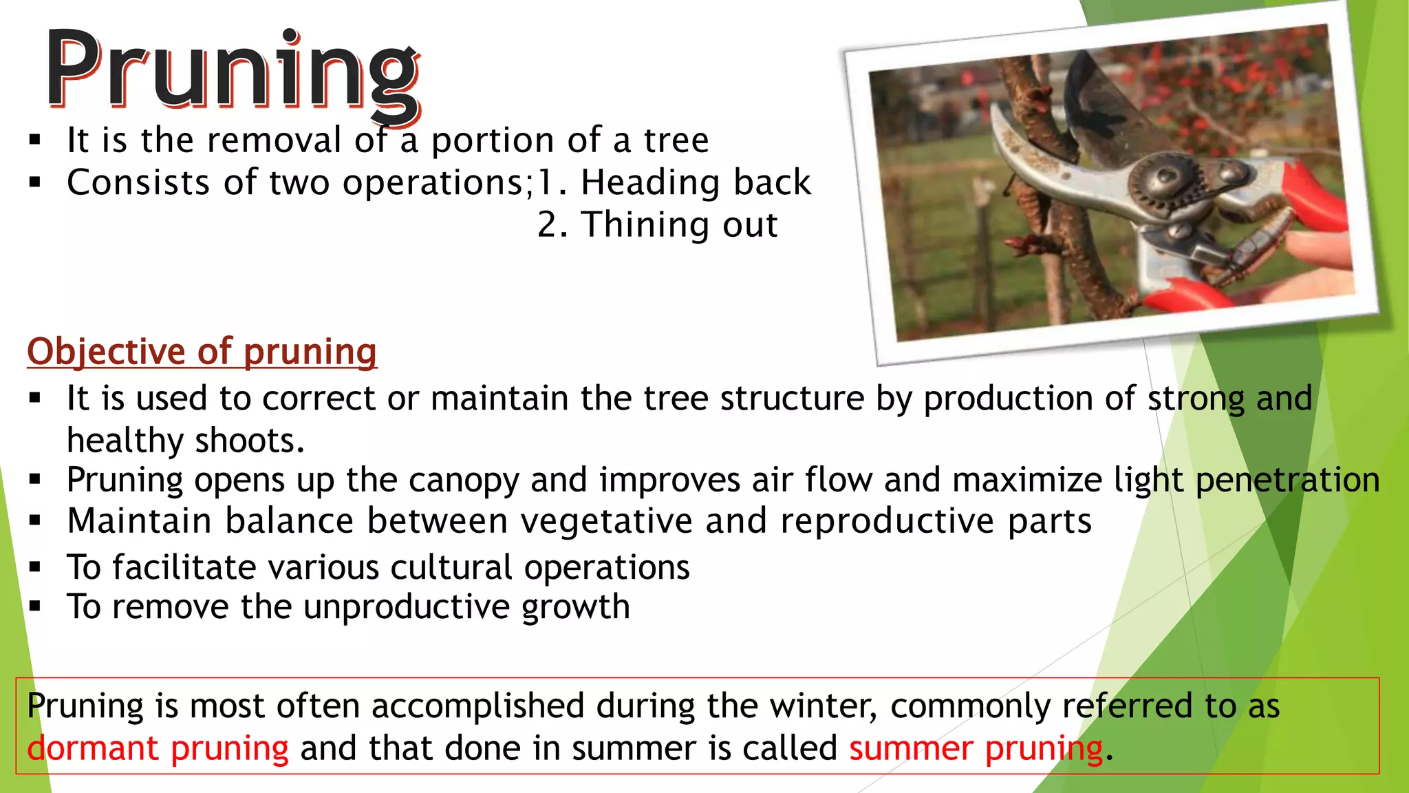  It is the removal of a portion of a tree
 Consists of two operations;1. Heading back
2. Thining out
Objective of pruning
 It is used to correct or maintain the tree structure by production of strong and
healthy shoots.
 Pruning opens up the canopy and improves air flow and maximize light penetration
 Maintain balance between vegetative and reproductive parts
 To facilitate various cultural operations
 To remove the unproductive growth
Pruning is most often accomplished during the winter, commonly referred to as
dormant pruning and that done in summer is called summer pruning.
 