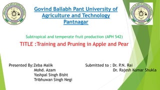 Govind Ballabh Pant University of
Agriculture and Technology
Pantnagar
Subtropical and temperate fruit production (APH 542)
TITLE :Training and Pruning in Apple and Pear
Presented By:Zeba Malik
Mohd. Azam
Yashpal Singh Bisht
Tribhuwan Singh Negi
Submitted to : Dr. P.N. Rai
Dr. Rajesh Kumar Shukla
 