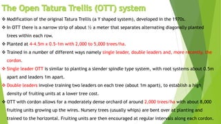  Modification of the original Tatura Trellis (a Y shaped system), developed in the 1970s.
 In OTT there is a narrow strip of about ½ a meter that separates alternating diagonally planted
trees within each row.
 Planted at 4-4.5m x 0.5-1m with 2,000 to 5,000 trees/ha.
 Trained in a number of different ways namely single leader, double leaders and, more recently, the
cordon.
 Single leader OTT is similar to planting a slender spindle type system, with root systems about 0.5m
apart and leaders 1m apart.
 Double leaders involve training two leaders on each tree (about 1m apart), to establish a high
density of fruiting units at a lower tree cost.
 OTT with cordon allows for a moderately dense orchard of around 2,000 trees/ha with about 8,000
fruiting units growing up the wires. Nursery trees (usually whips) are bent over at planting and
trained to the horizontal. Fruiting units are then encouraged at regular intervals along each cordon.
 