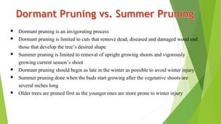  Dormant pruning is an invigorating process
 Dormant pruning is limited to cuts that remove dead, diseased and damaged wood and
those that develop the tree’s desired shape
 Summer pruning is limited to removal of upright growing shoots and vigorously
growing current season’s shoot
 Dormant pruning should begin as late in the winter as possible to avoid winter injury
 Summer pruning done when the buds start growing after the vegetative shoots are
several inches long
 Older trees are pruned first as the younger ones are more prone to winter injury
 