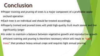 Proper training and pruning of trees is a major component of a profitable apple
orchard operation
Each tree is an individual and should be treated accordingly
Properly trained and pruned trees will yield high-quality fruit much sooner and live
significantly longer
In order to maintain a balance between vegetative growth and reproductive growth
efficient training and pruning is therefore necessary which will result in “calm
trees” that produce heavy annual crops and requires light annual pruning
 
