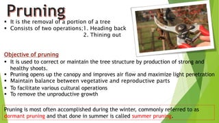  It is the removal of a portion of a tree
 Consists of two operations;1. Heading back
2. Thining out
Objective of pruning
 It is used to correct or maintain the tree structure by production of strong and
healthy shoots.
 Pruning opens up the canopy and improves air flow and maximize light penetration
 Maintain balance between vegetative and reproductive parts
 To facilitate various cultural operations
 To remove the unproductive growth
Pruning is most often accomplished during the winter, commonly referred to as
dormant pruning and that done in summer is called summer pruning.
 