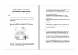 Comprehensive Training and Pruning Techniques for Temperate Fruit Trees ...