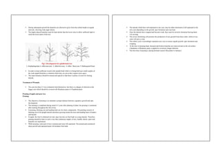 Comprehensive Training and Pruning Techniques for Temperate Fruit Trees ...