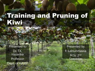 Training and Pruning of
Kiwi
Presented by
F. Lalnunmawia
M.Sc 2nd
Semester
Presented to
Dr. T.K.
Hazarika
Professor
Dept. of HAMP
 
