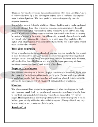 There are two ways to overcome this apical dominance effect from shoot tips. One is
to remove the shoot tip as in a heading cut and the other is to bend a shoot tip to a
more horizontal position. The latter works because auxins generally move in
response to gravity.
Research has suggested that the inhibition of flower bud formation can be explained
by the alteration of three plant hormones: cytokine, auxins, and gibberellins. All
three occurred in higher concentrations in the conductive tissues of trees that were
pruned. Cytokine-like substances were doubled in the conductive tissues at the very
beginning of growth in the spring. In mid-June, after a month of growth, auxin levels
were much higher in pruned trees than in no pruned trees. This was followed by
higher levels of gibberellins from the middle of June to the end of July in the pruned
trees, compared to controls.
Trees given no pruning
When growth begins, the terminal and sub terminal buds are usually the first to start;
in most deciduous trees and vines (less so in shrubs) they produce the longest and
strongest shoots, although shoots may grow from many of the lower buds. However,
seldom do all the lateral buds start, and as a rule the largest percentage of those
remaining dormant are on the basal portion of the shoot.
Response to heading cuts
The result of a heading cut is the loss of apical dominance as mentioned above, with
the removal of the inhibiting effect on the lateral buds. The net result is an increase
in total shoot growth. Both shoot number and length are affected, but the impact is
affected by shoot age, severity of cut, growth habit, and shoot orientation.
Shoot age
The stimulation of shoot growth is most pronounced when heading cuts are made
into 1-year-old wood. Such cuts usually result in very vigorous shoots from the three
to four buds immediately below the cut. These shoots can develop very narrow
angles. Heading cuts made near the top of these shoots induce the top five to seven
buds to grow, usually within 6 to 9 inches below the cut (although this will also vary
by severity of cut and orientation of the branch).
Severity of cut
 