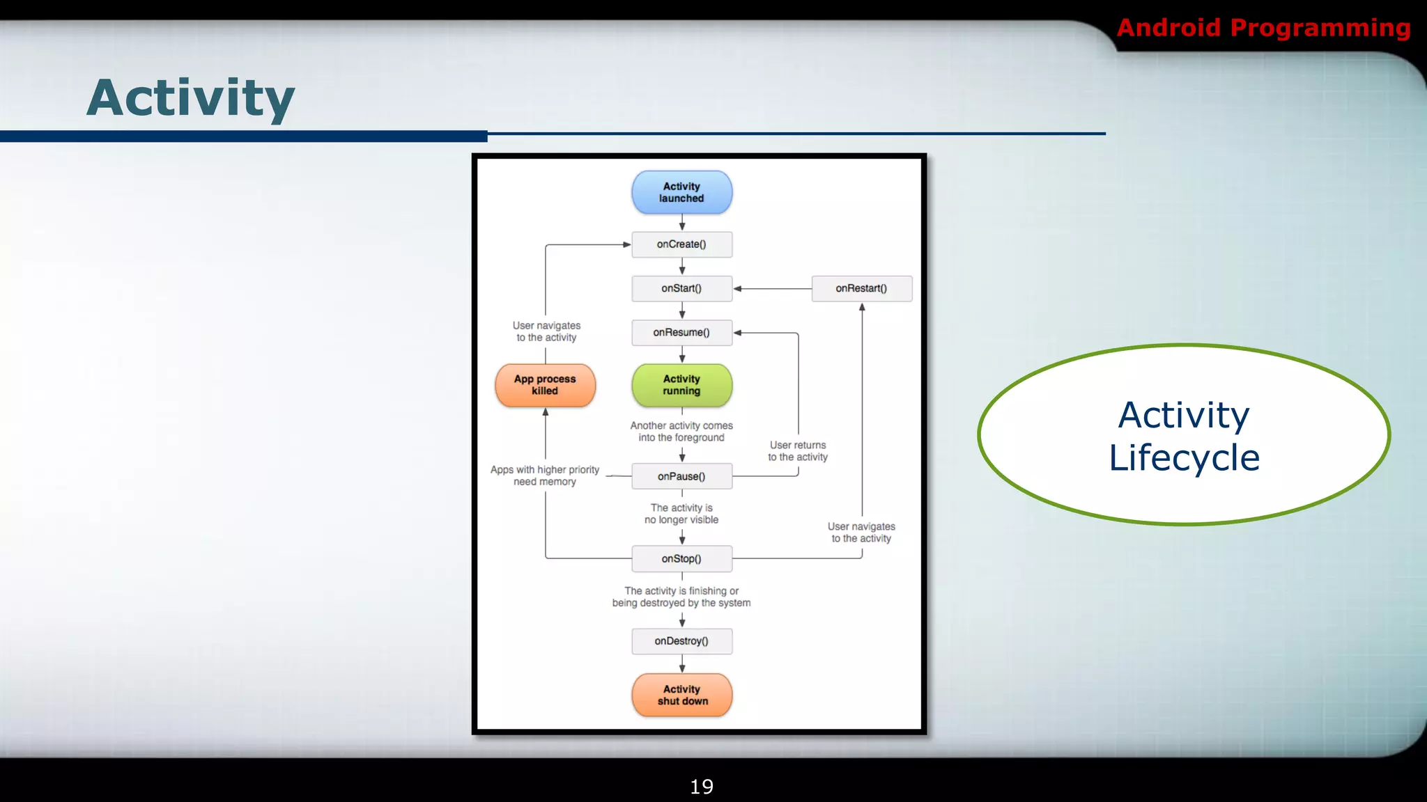 Android Programming


Activity




                Activity
                Lifecycle




           19
 