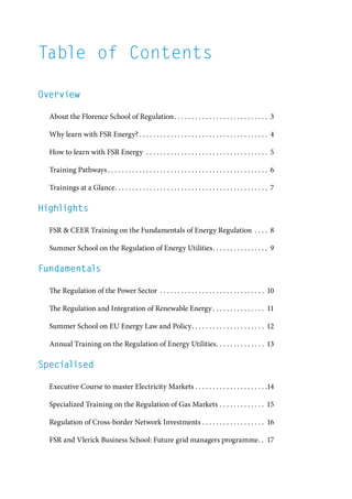 Training at the florence school of regulation | PDF