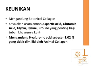 KEUNIKAN
• Mengandung Botanical Collagen
• Kaya akan asam amino Aspartic acid, Glutamic
Acid, Glycin, Lysine, Proline yang penting bagi
tubuh khususnya kulit
• Mengandung Hyaluronic acid sebesar 1,02 %
yang tidak dimiliki oleh Animal Collagen.
 