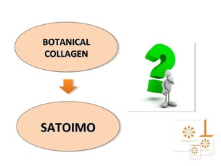 SATOIMOSATOIMO
• Penelitian menunjukkan bahwa satoimo sangat kaya
akan HYALURONIC ACID (HA)  substansi yang
diproduksi se...