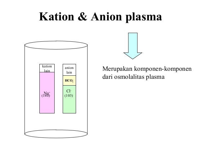 MENGENAL HOMEOSTATIS CAIRAN TUBUH