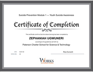 Suicide Prevention Module 1 — Youth Suicide Awareness
ZEPHANIAH UGWUNERI
Paterson Charter School for Science & Technology
03-07-20
35
Riza Gurcanli
 