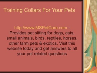 Training Collars For Your Pets http://www.MSPetCare.com  - Provides pet sitting for dogs, cats, small animals, birds, reptiles, horses, other farm pets & exotics. Visit this website today and get answers to all your pet related questions 