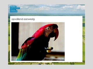 opvallend aanwezig 