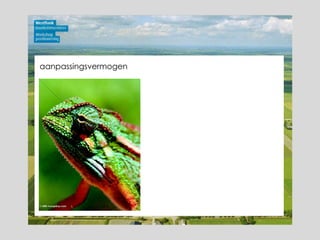 aanpassingsvermogen 