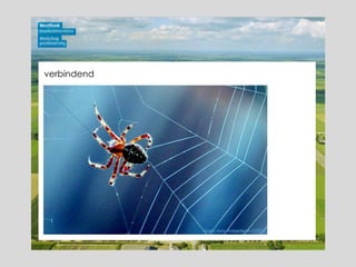 verbindend 