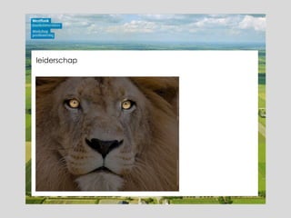 leiderschap 