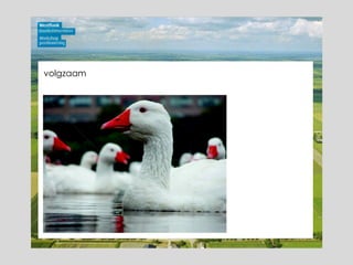 volgzaam 