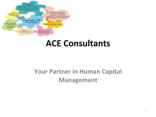 ACE Consultants Your Partner in Human Capital Management 