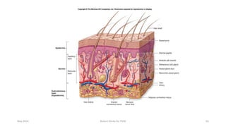 May 2014 Robert Klerkx for PUM 65
 