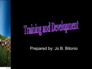 Training and Development Prepared by: Jo B. Bitonio 