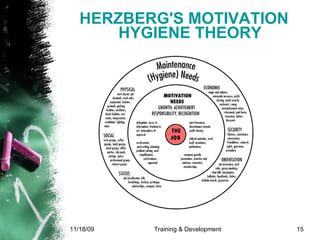 HERZBERG'S MOTIVATION HYGIENE THEORY 
