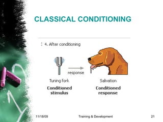 CLASSICAL CONDITIONING 