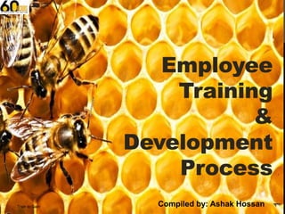 Train to Gain

Compiled by: Ashak Hossan

1

Employee
Training
&
Development
Process

 