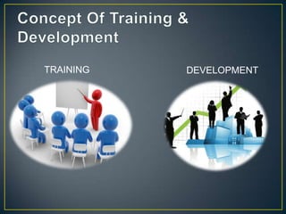 TRAINING DEVELOPMENT
 