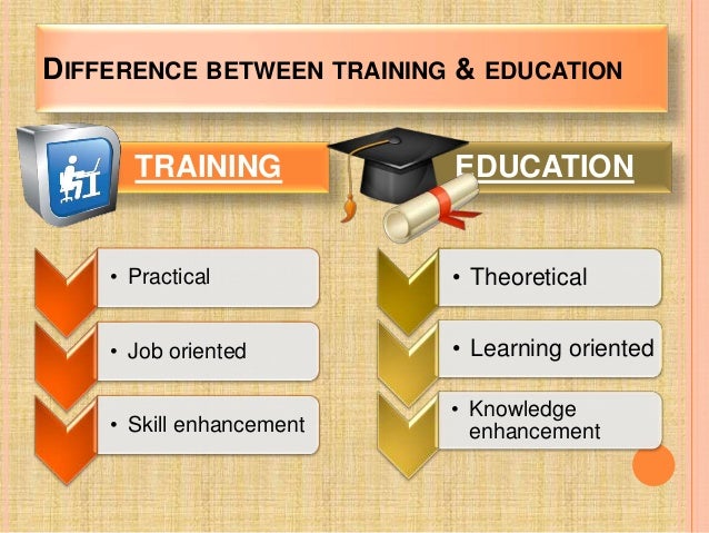 Education and knowledge essay image