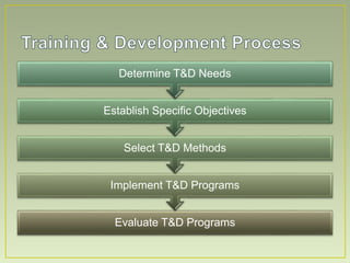 Training development and its objectives | PPTX