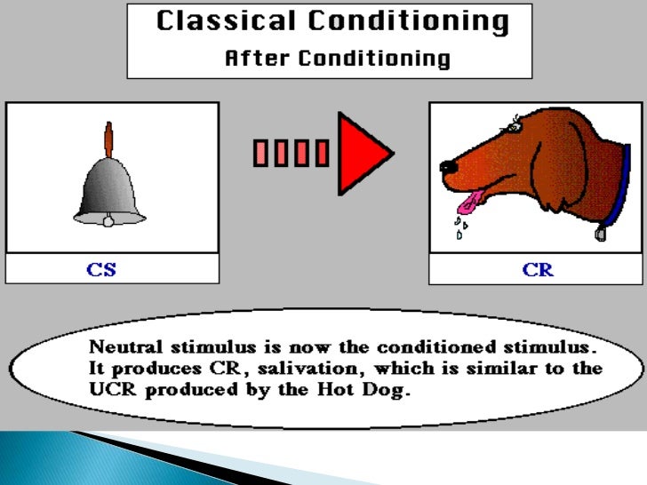 major concepts of training development and learning Training and development is vital part of the training & development where students can learn the basics as well as advanced concepts related to management. major concepts of training development and learning Training and development is vital part of the training & development where students can learn the basics as well as advanced concepts related to management.