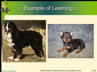 McGraw-Hill/Irwin © 2005 The McGraw-Hill Companies, Inc. All rights reserved. 6 - 56
Example of Learning….
 