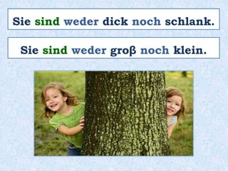 Sie sind weder dick noch schlank.
Sie sind weder groβ noch klein.
 