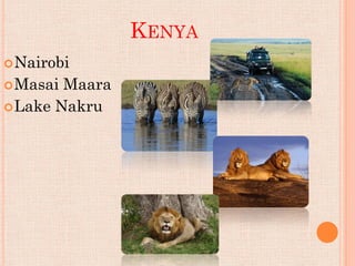 KENYA
 Nairobi
 Masai Maara
 Lake Nakru
 