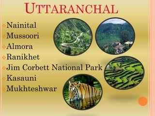 UTTARANCHAL
Nainital
Mussoori
Almora
Ranikhet
JimCorbett National Park
Kasauni
Mukhteshwar
 